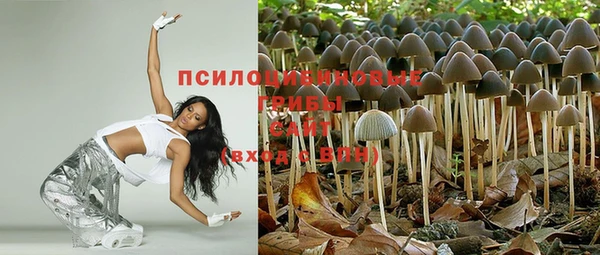 СК Абинск