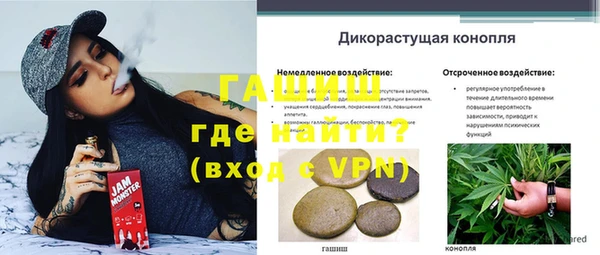 СК Абинск
